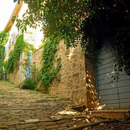 Ruine-Motovun Dh Vila Exterior foto