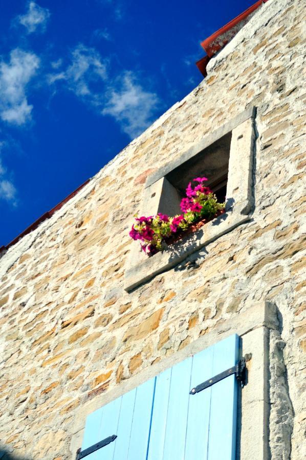 Ruine-Motovun Dh Vila Exterior foto