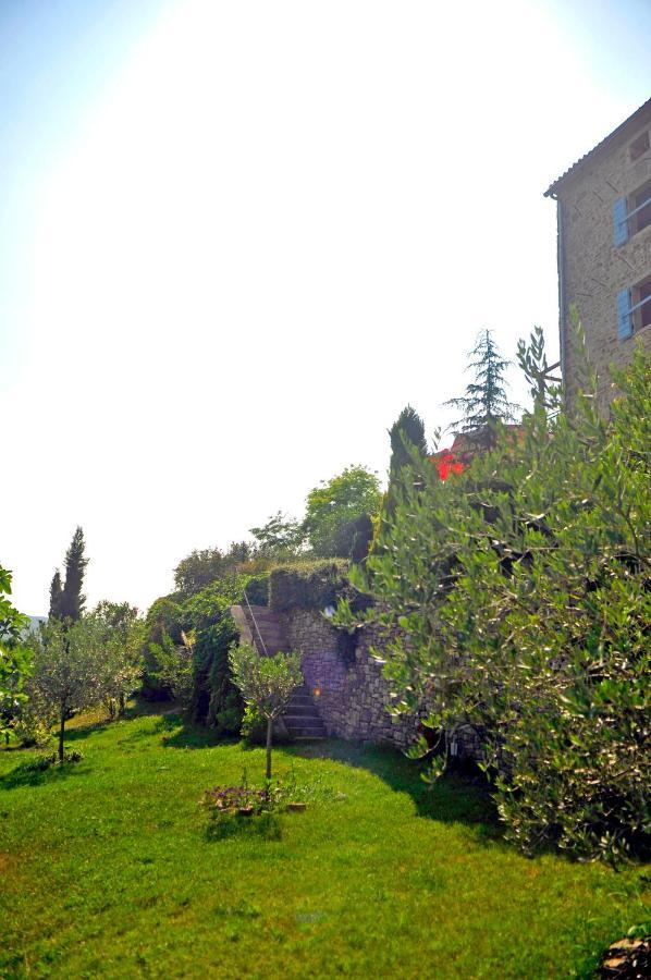 Ruine-Motovun Dh Vila Exterior foto