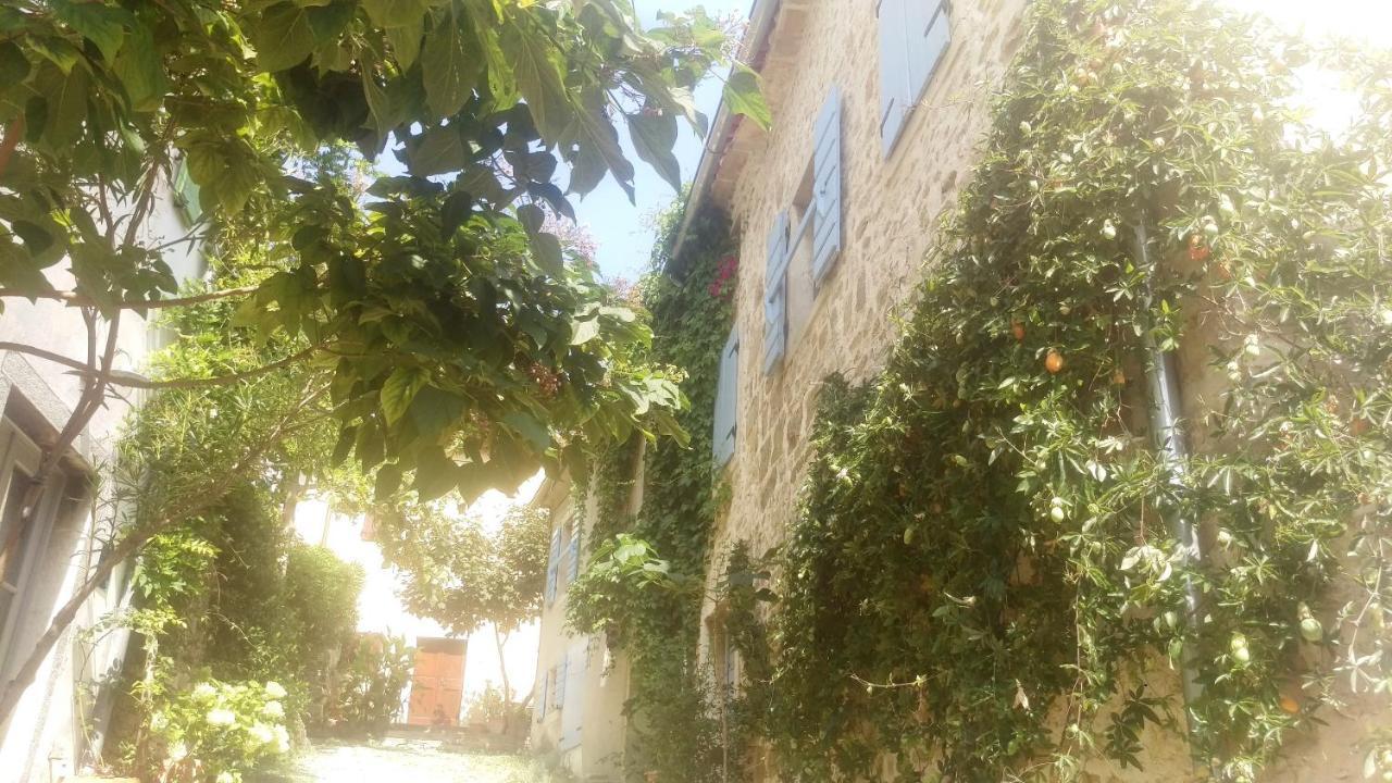 Ruine-Motovun Dh Vila Exterior foto